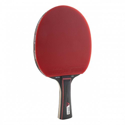 Ракетка для настольного тенниса Joola MATCH PRO 4* Vizion – купить в Vistasport