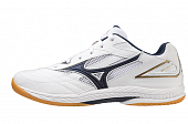 Кроссовки Mizuno Wave Drive 9 (2024)